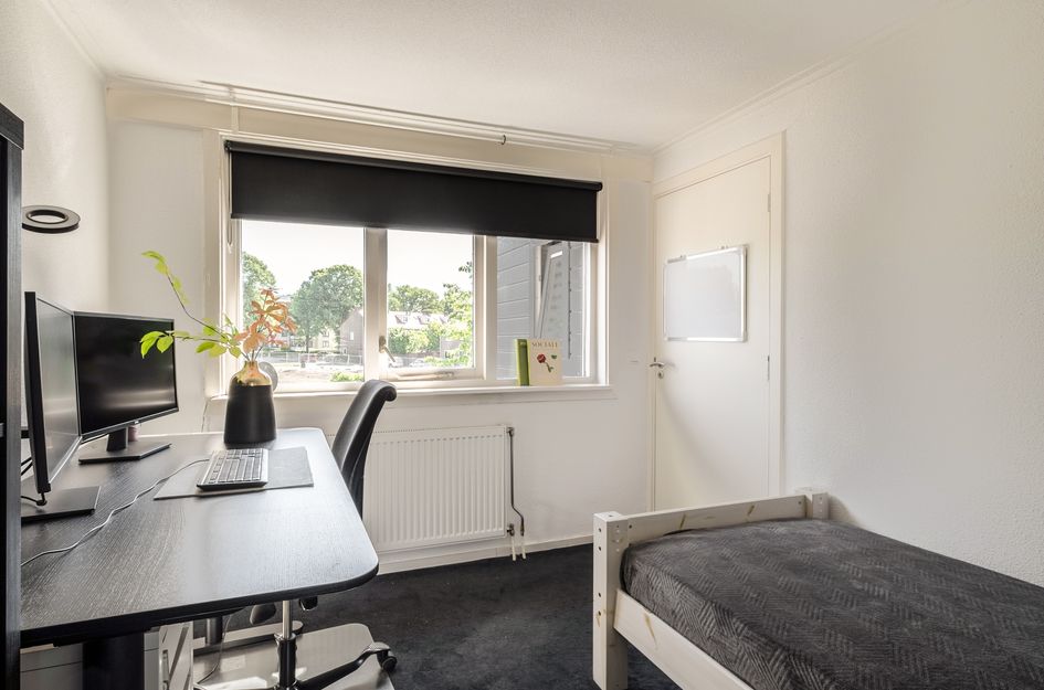 Hyacintstraat 18