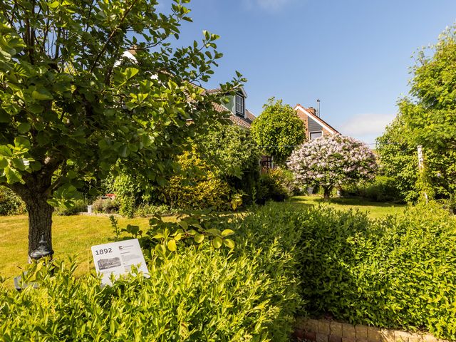 Skoallereed 1, Moddergat