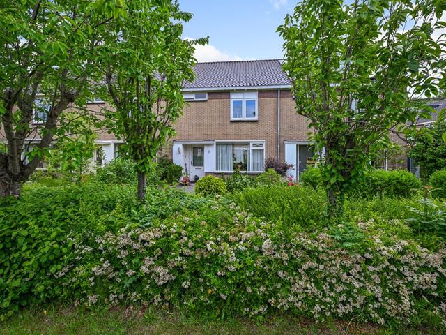 Tormentil 5, Castricum