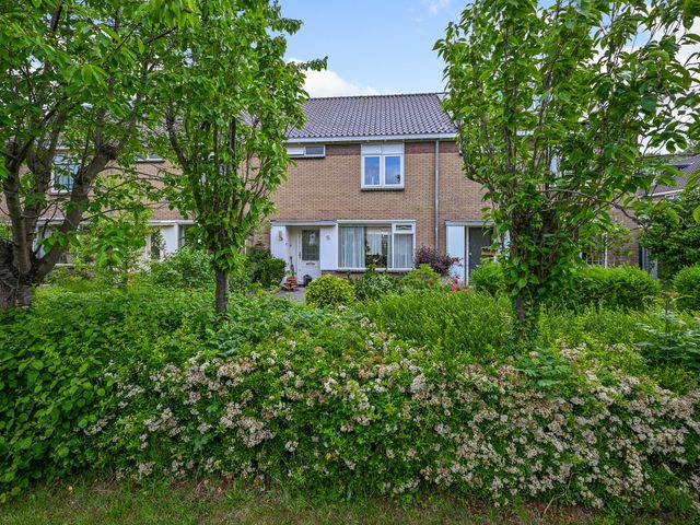 Tormentil 5, Castricum
