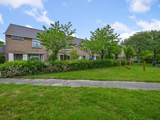 Tormentil 5, Castricum