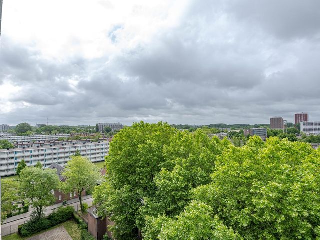 Oldegaarde 824, Rotterdam