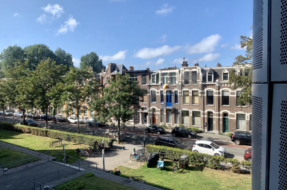 Cornelis de Wittlaan 484