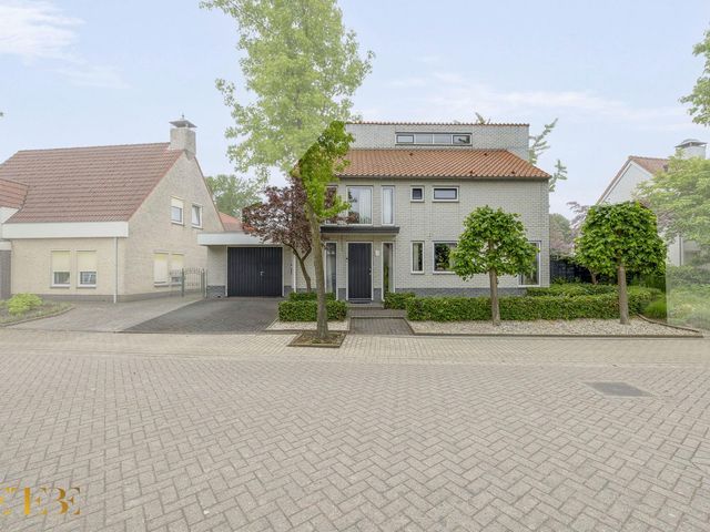 Goudhaver 5, Steyl