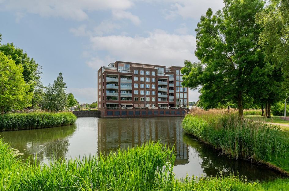 Palissanderhout 88
