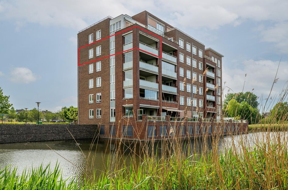Palissanderhout 88