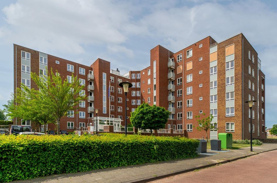 Palissanderhout 88