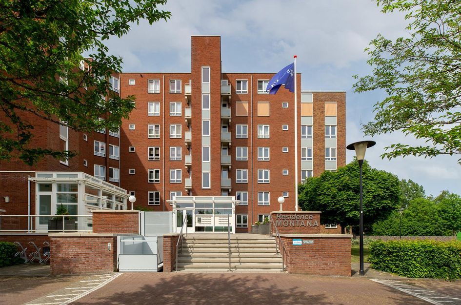 Palissanderhout 88