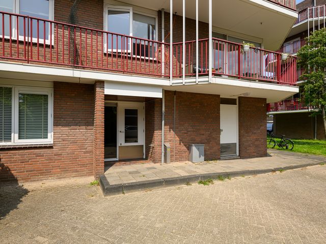 Pluimgras 1, Leiden