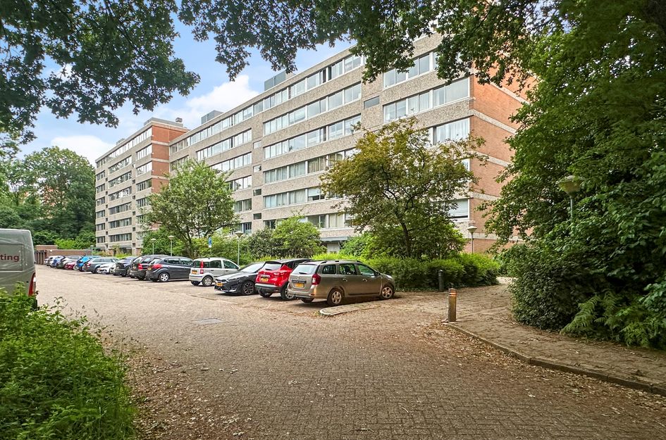 Beethovenlaan 241