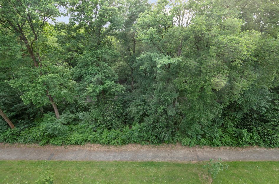 Beethovenlaan 241