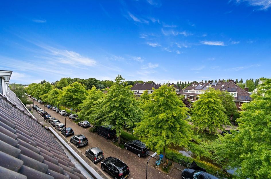 Thierenskade 112
