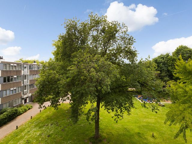 Fokkezeil 27, Amsterdam