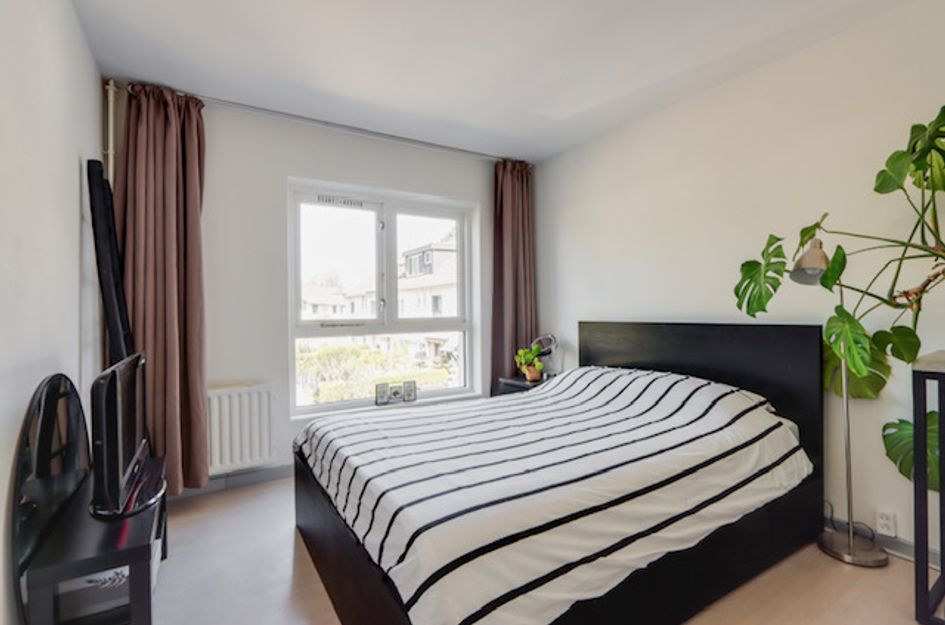 Hammarskjoldstraat 117