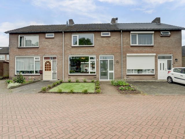 Boegent 4, Reusel