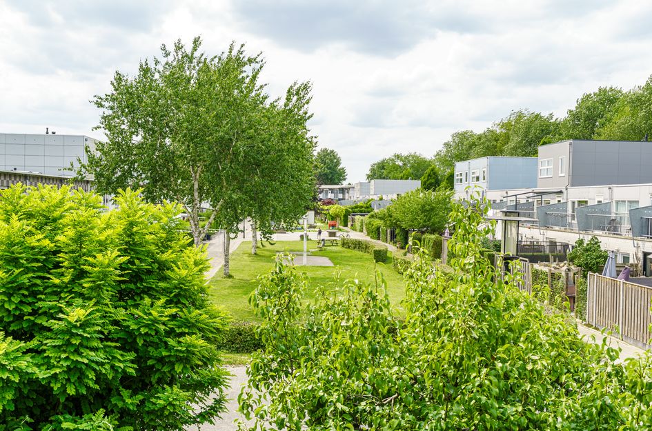 Lijzijde 33
