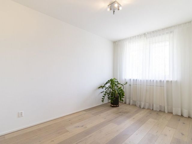 Bolestein 392, Amsterdam