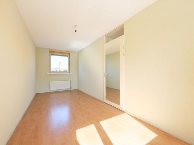 Pitrus 37, Amersfoort