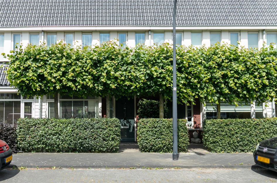 Varsseveldstraat 29