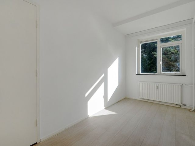 Hanedoesstraat 9, Den Haag