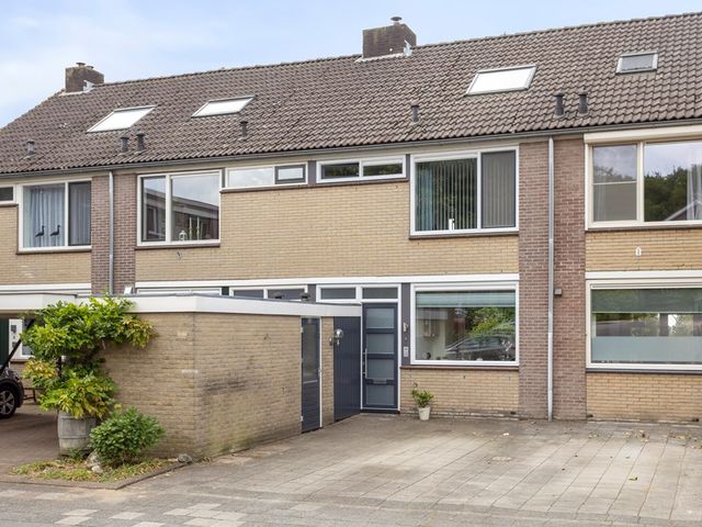 Molenberg 53, Rhenen
