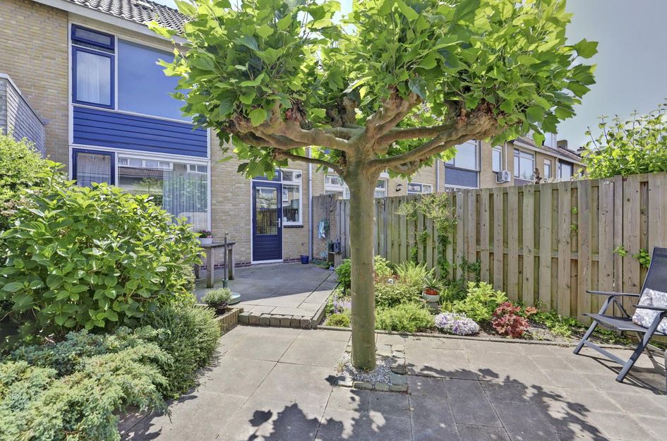 van Alkemadestraat 87