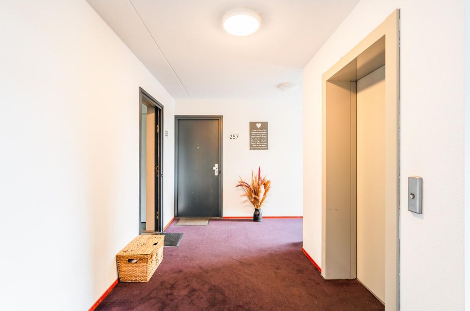Avenue Carnisse 255