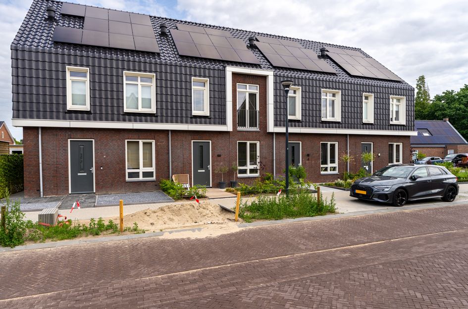 Zilverlinde 6
