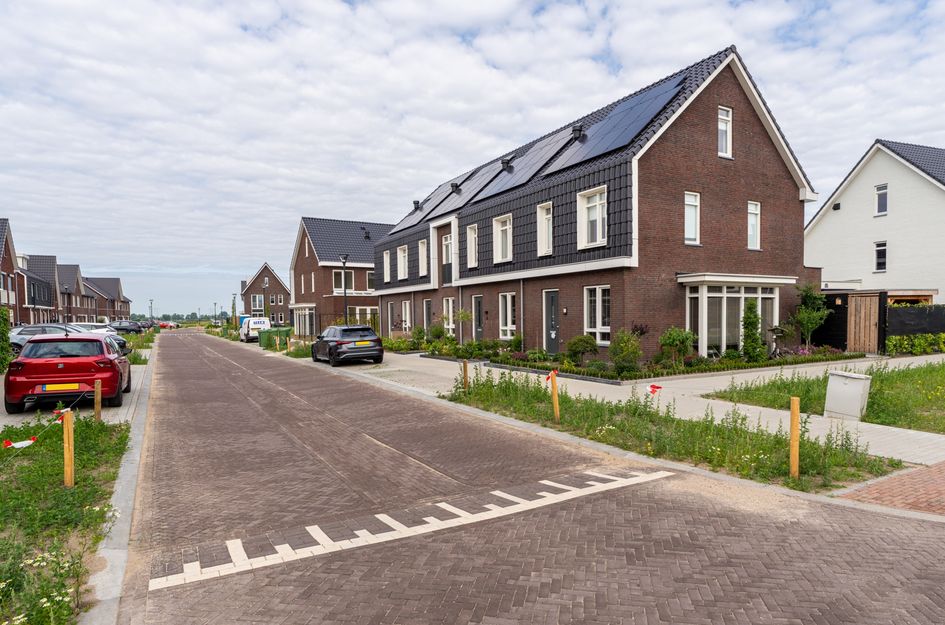 Zilverlinde 6