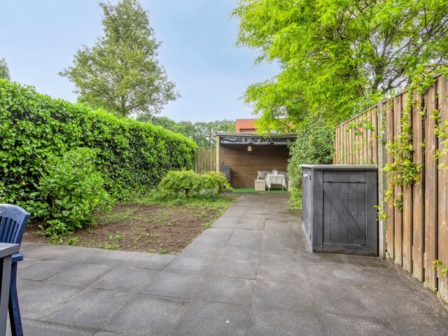 Bladwesp 8, Hengelo