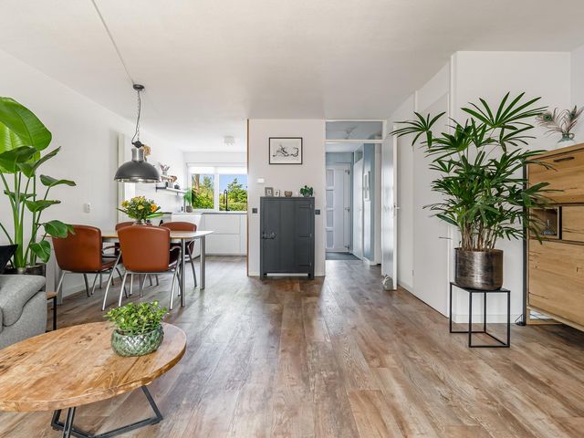 Rijnland 245, Lelystad
