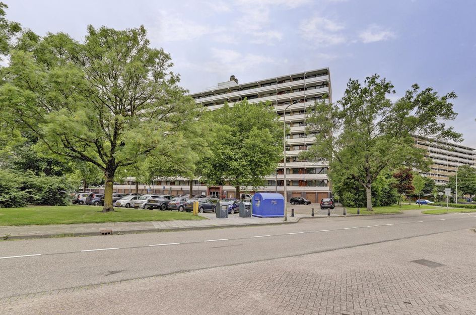 Seringenplantsoen 559