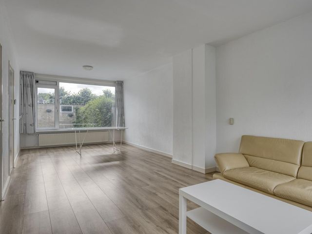 Bolkruid 42, Rotterdam