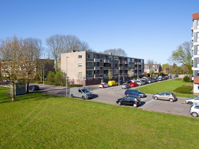 Dalenoord 109, Rotterdam