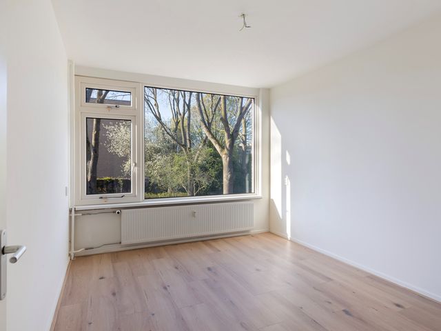 Dalenoord 109, Rotterdam