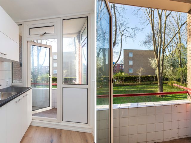 Dalenoord 109, Rotterdam