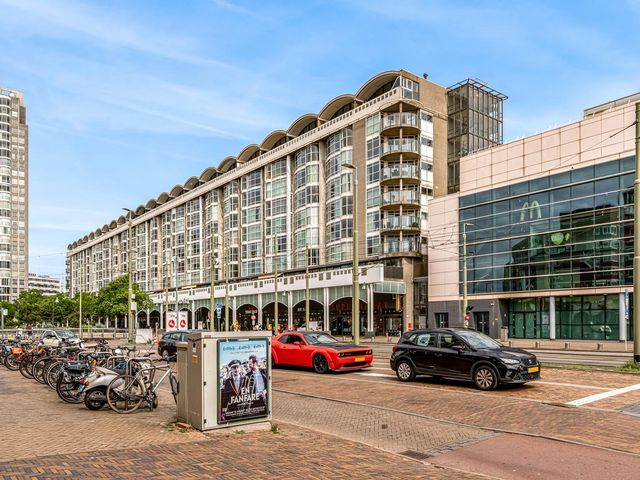 Palaceplein 236, 's-Gravenhage