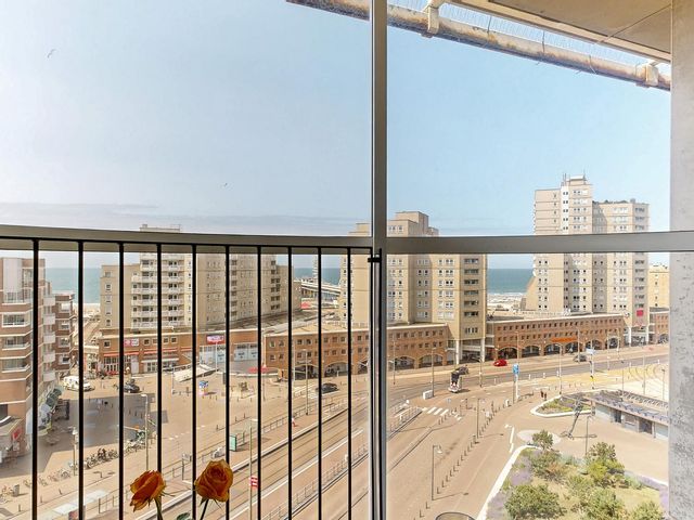 Palaceplein 236, 's-Gravenhage