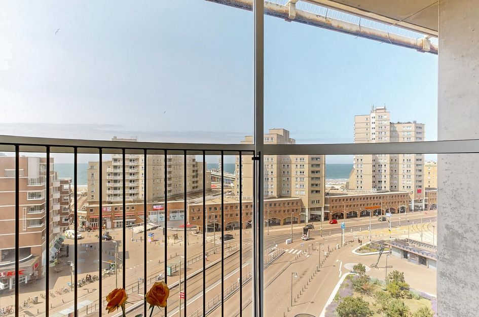 Palaceplein 236