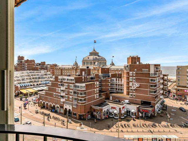 Palaceplein 236, 's-Gravenhage