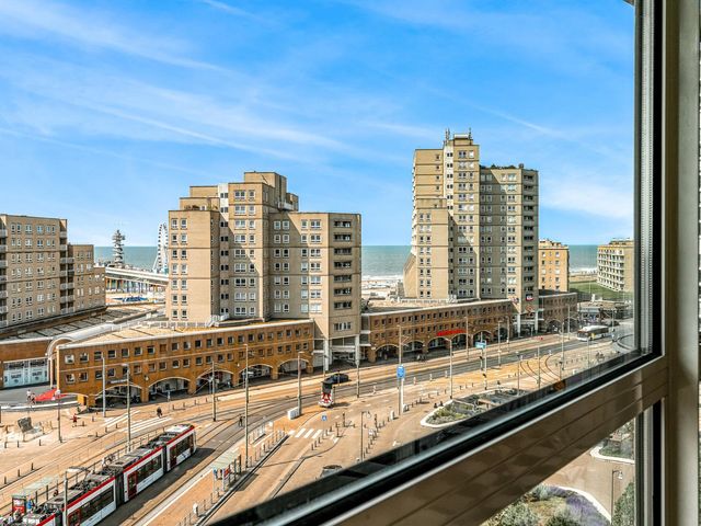 Palaceplein 236, 's-Gravenhage