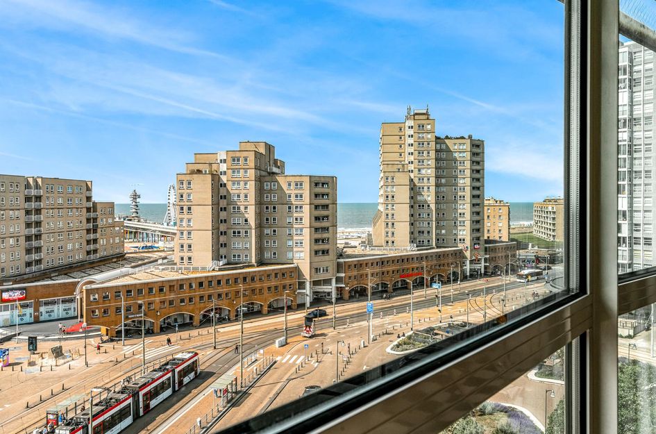 Palaceplein 236