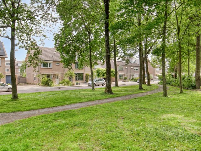 Dorus Rijkersstraat 43, Dinteloord
