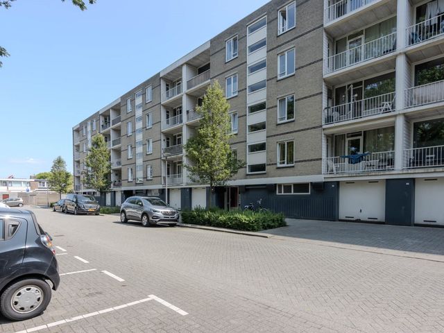 Langeplaat 93, Rozenburg