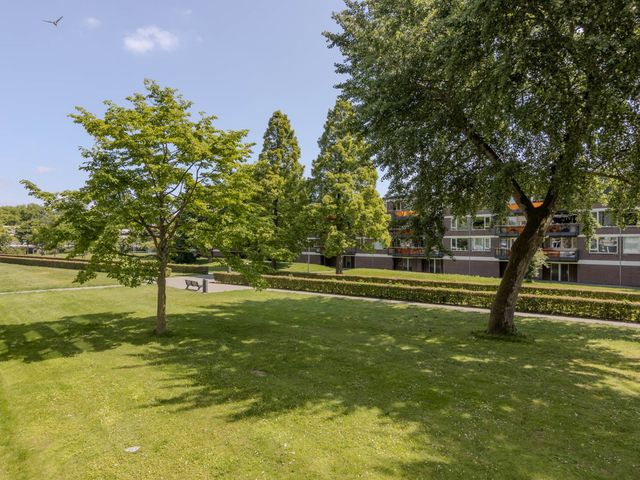 Langeplaat 93, Rozenburg