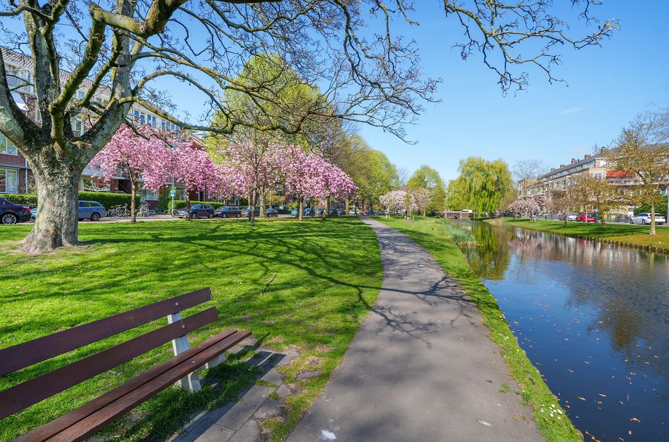 Statensingel 124C