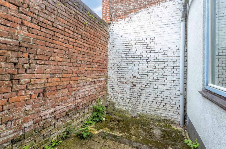 Groenoordstraat 19