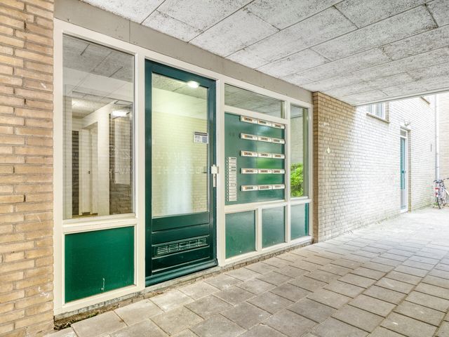 Oude Singel 256, Leiden