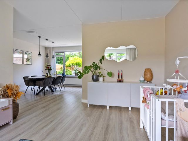 Sassenbergen 41, Borger