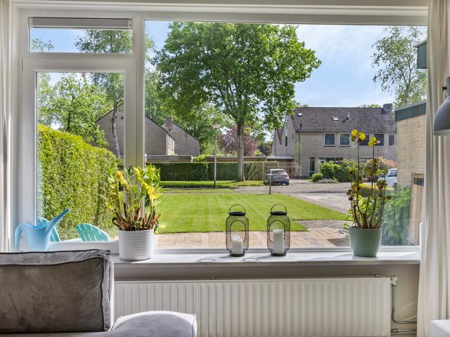Sassenbergen 41, Borger